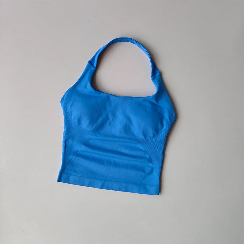 Ultimate Neck Holder Crop Top